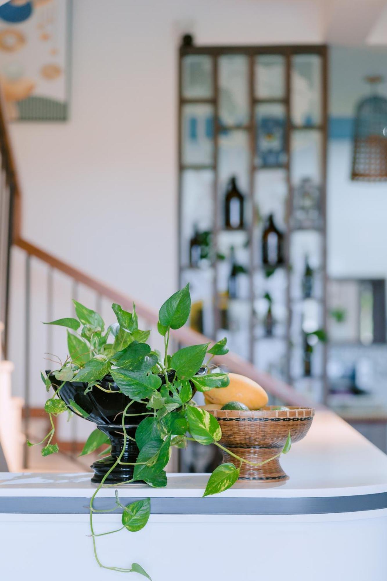 Bs Jade Home Χόι Αν Εξωτερικό φωτογραφία